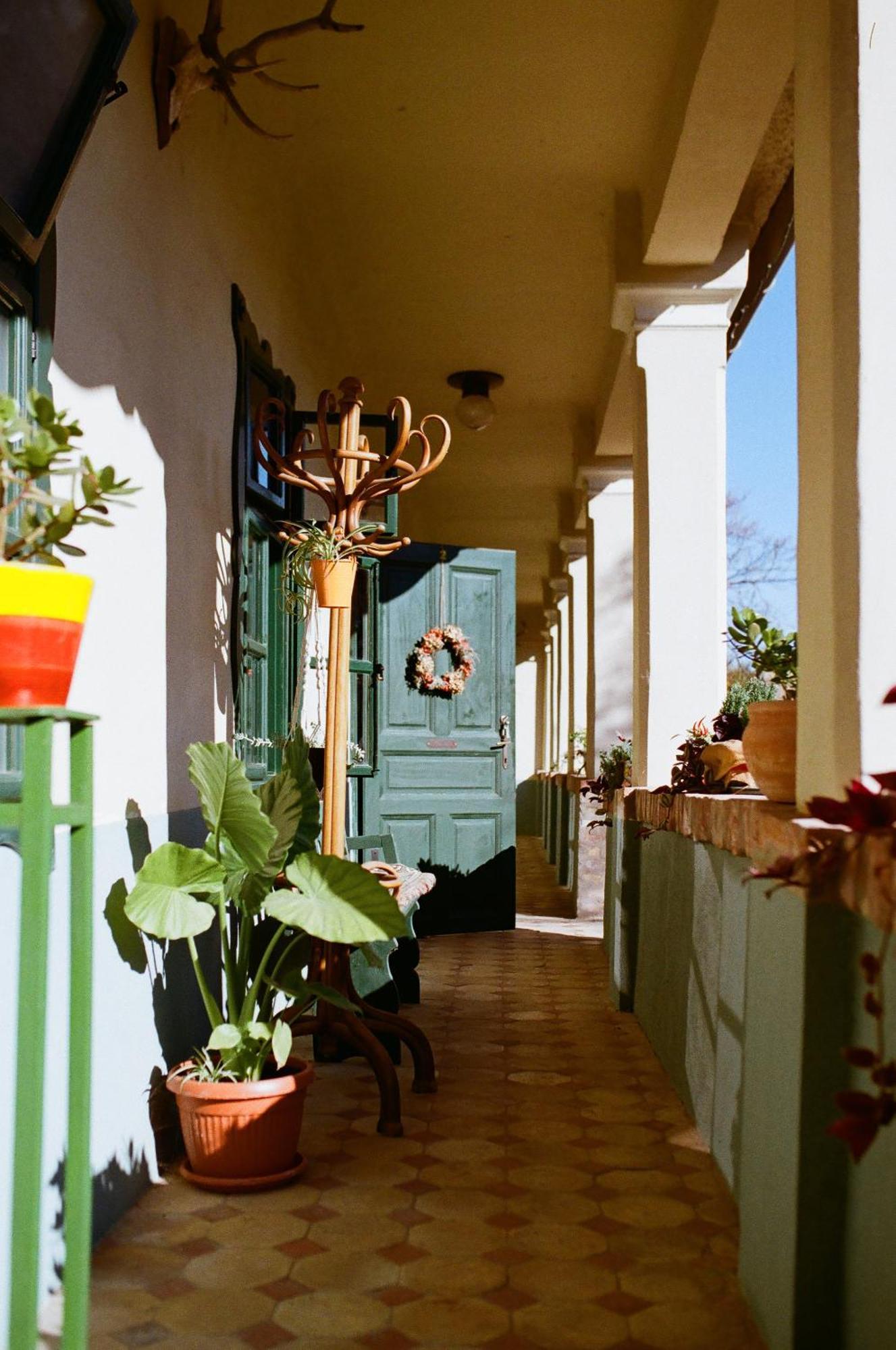 Villa Tradicionalna Kuca Biljkinog Oca Lug Esterno foto